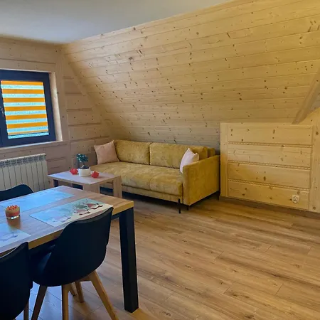 Chowańcówka Z Widokiem Na Góry Typu Obok Stoków Narciarskich I Blisko Basenów Termalnych Apartamento